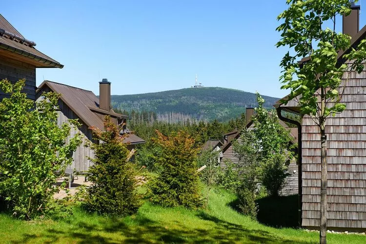 Ferienhaus Typ Premium Lodge Plus 6 Personen-Uitzicht zomer