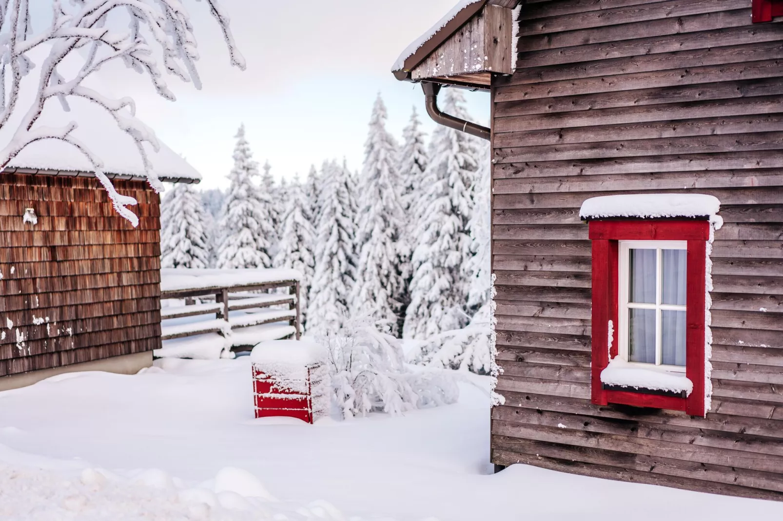 Ferienhaus Typ Premium Lodge Plus 6 Personen-Exterieur winter