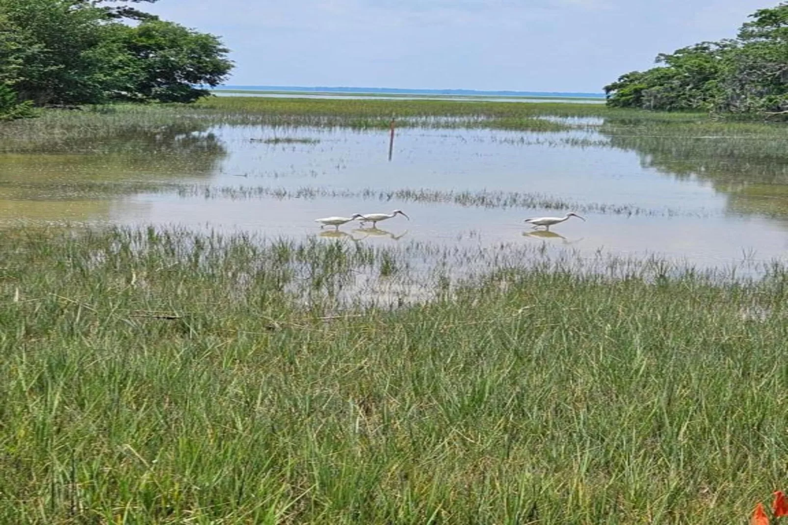 Résidence La Clé des Cimes 4-S8-Gebieden zomer 20km