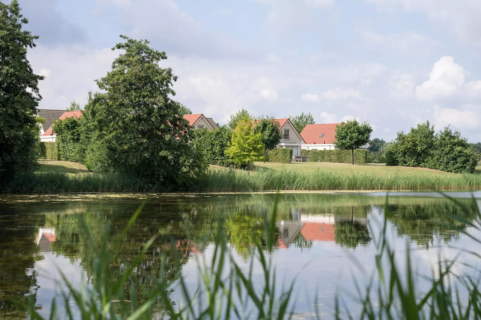 Venwoning 2-6 persoons-Buitenkant zomer