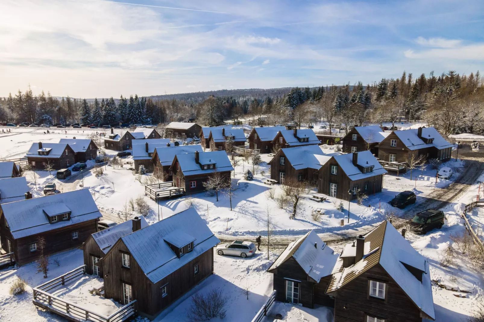 Ferienhaus Typ Premium Lodge 4 Personen-Woonkamer