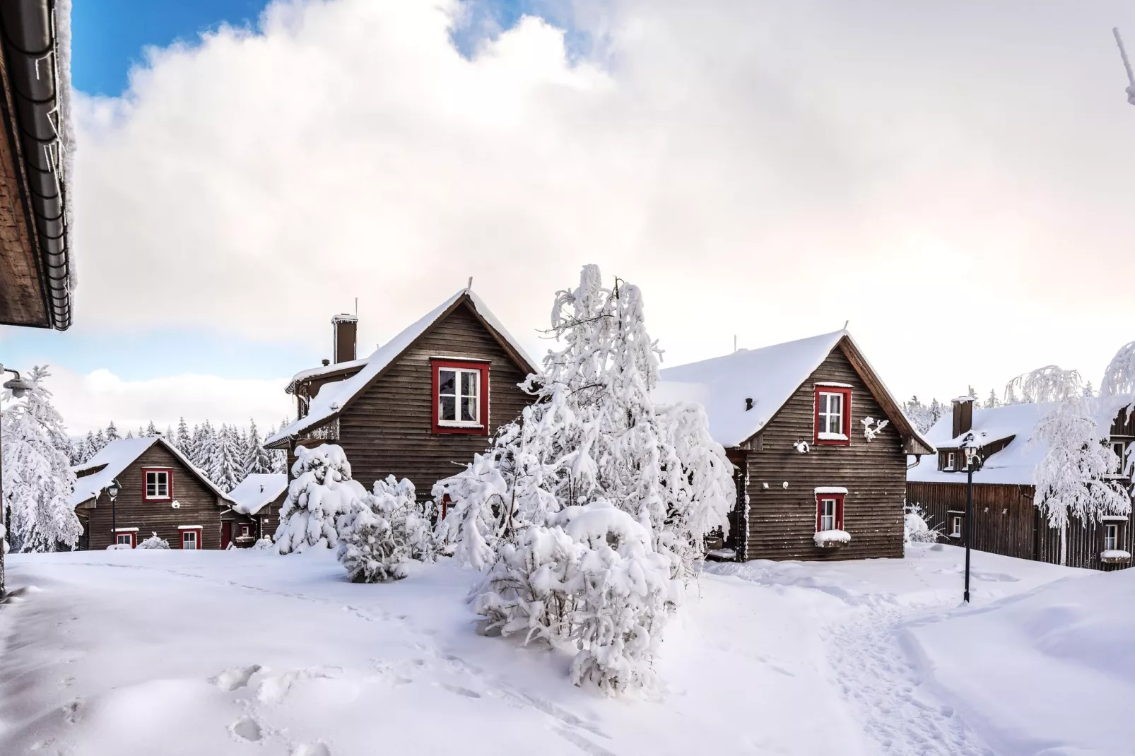 Ferienhaus Typ Premium Lodge 5 Personen-Exterieur winter