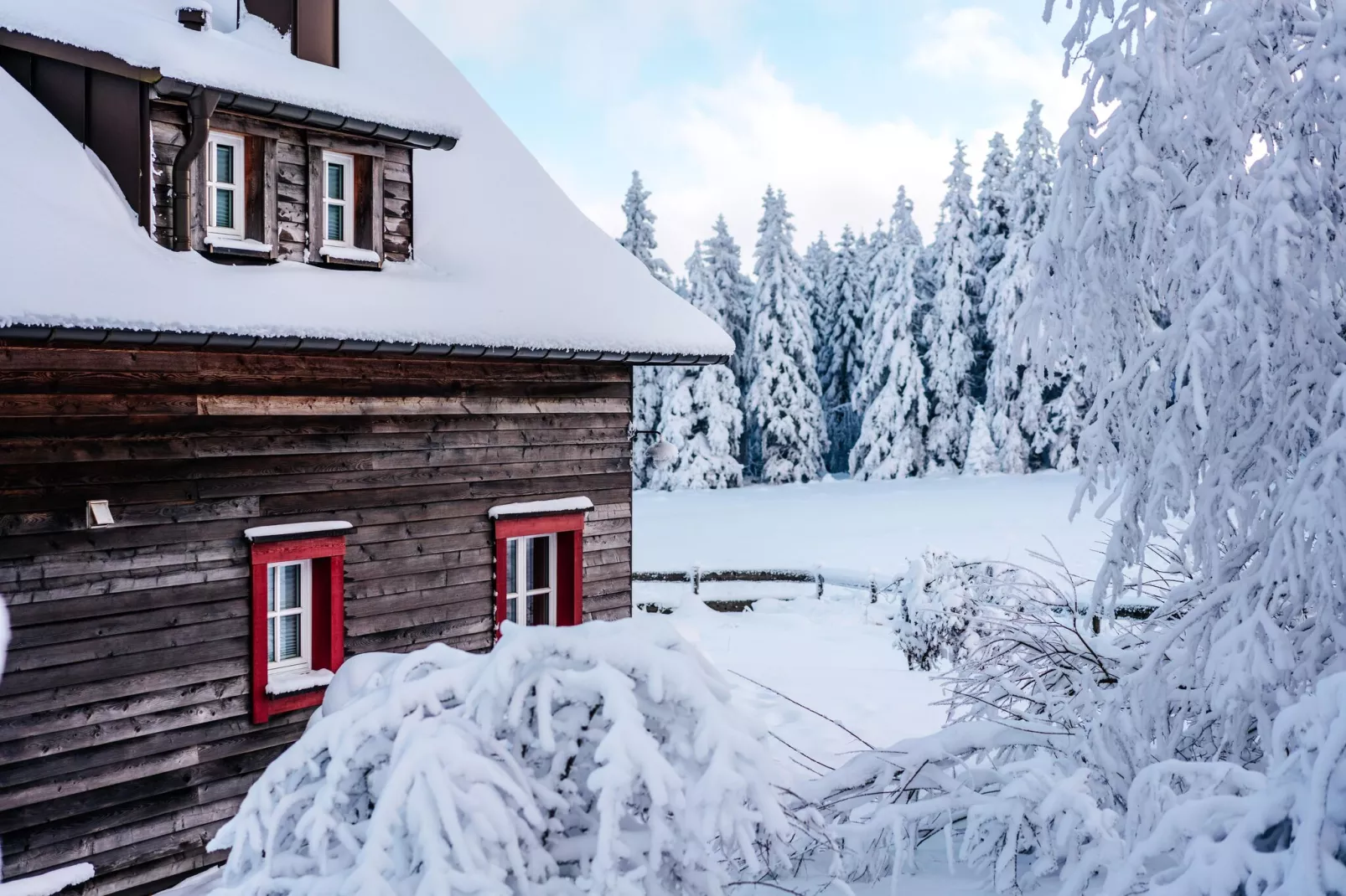 Ferienhaus Typ Premium Lodge 5 Personen-Exterieur winter