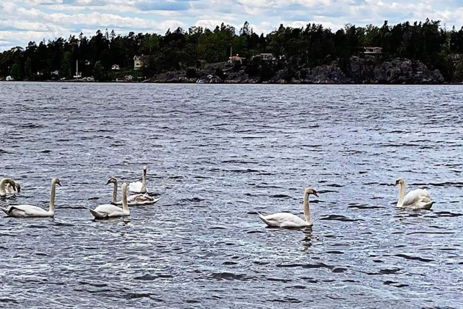 4 persoons vakantie huis in VÄRMDÖ-By Traum-Niet-getagd