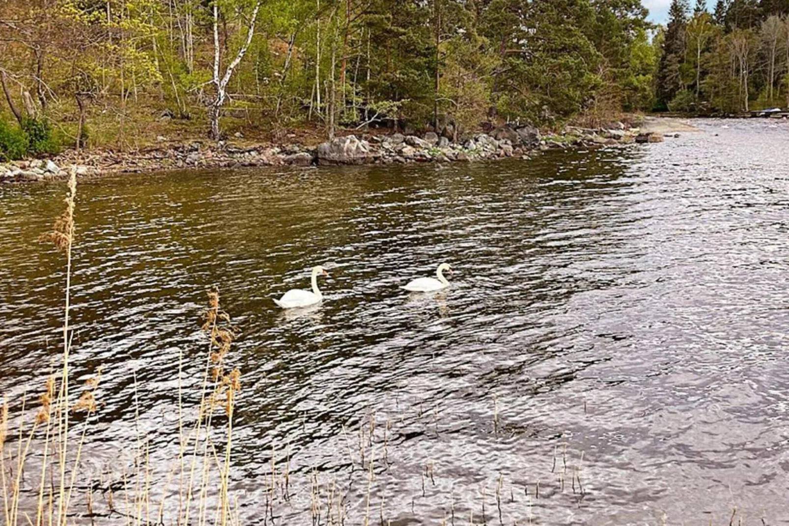4 persoons vakantie huis in VÄRMDÖ-By Traum-Niet-getagd