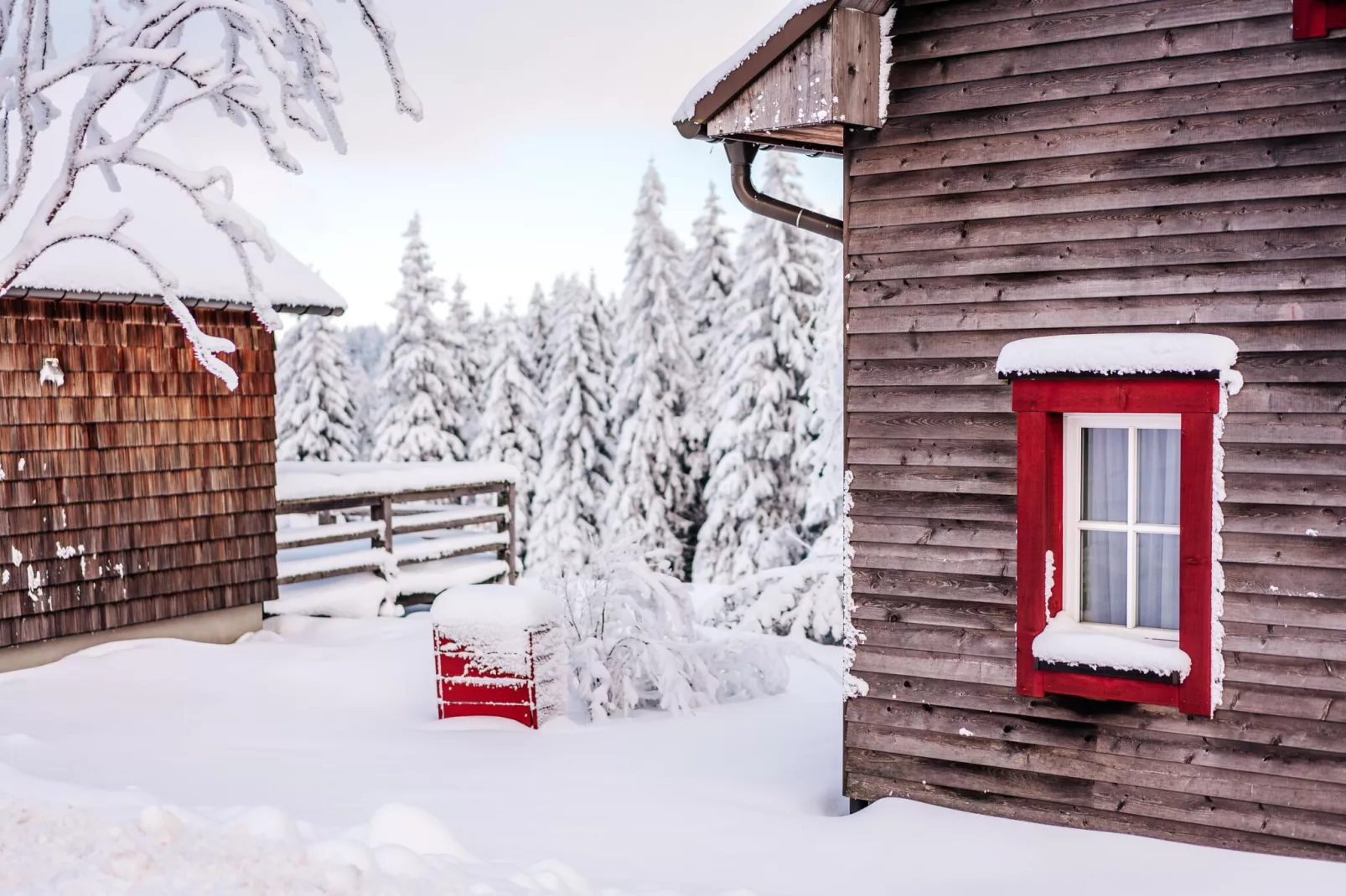 Ferienhaus Typ Premium Lodge 4 Erw 2 Kinder-Exterieur winter