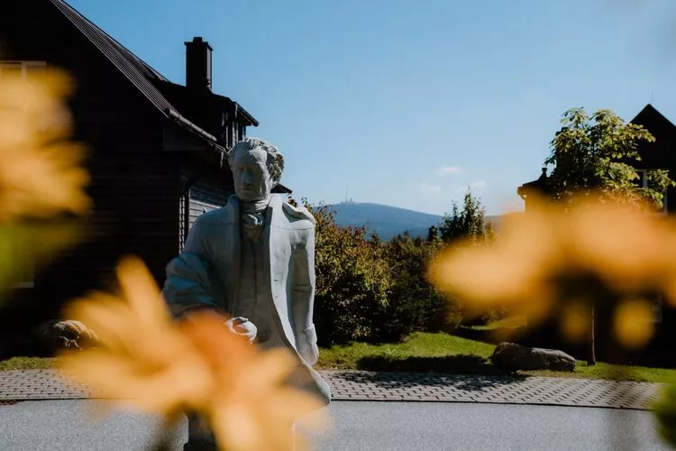 Ferienhaus Typ Premium Lodge 4 Erw 2 Kinder-Tuinen zomer