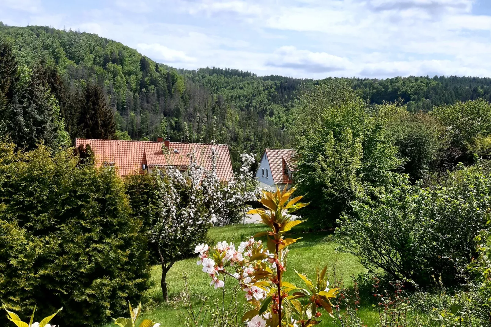 Ferienhaus 120 qm-Gebieden zomer 5km