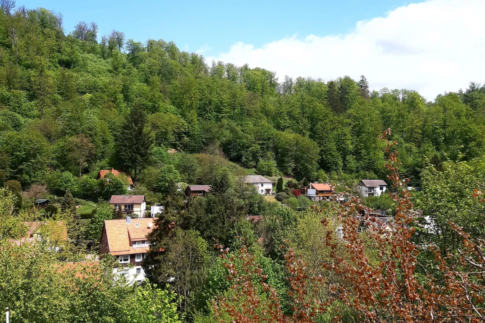 Ferienhaus 120 qm-Gebieden zomer 5km