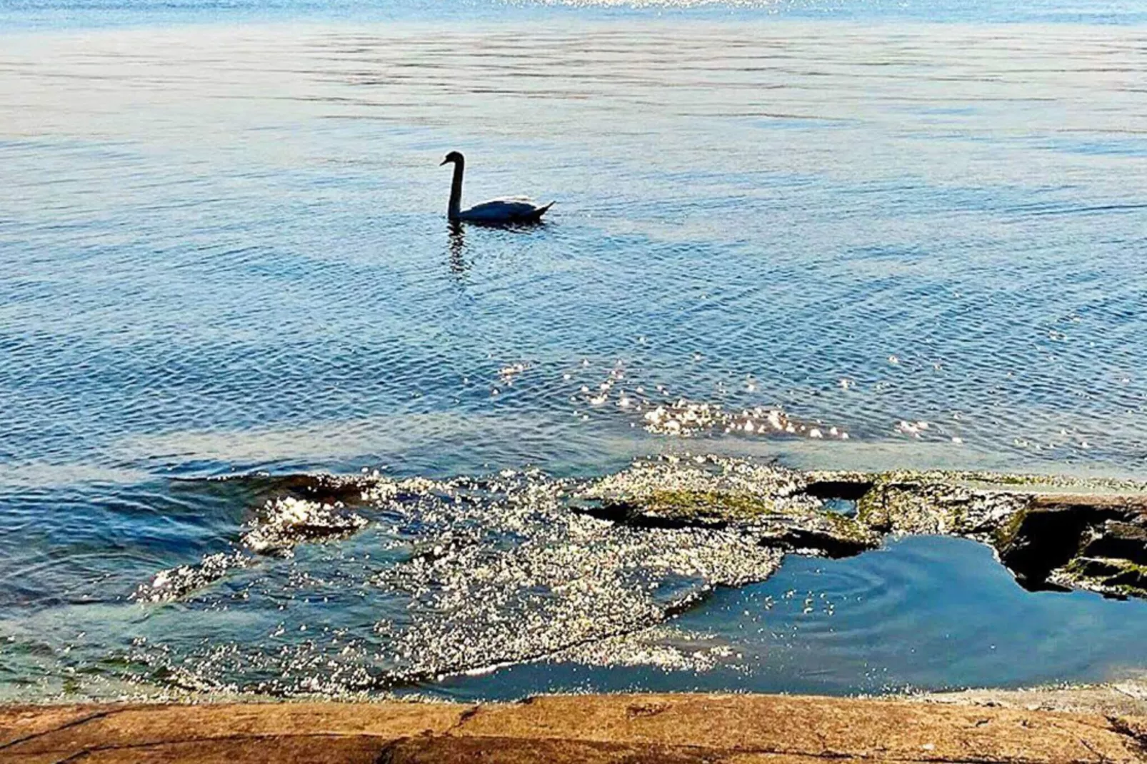 4 persoons vakantie huis in VÄRMDÖ-Niet-getagd