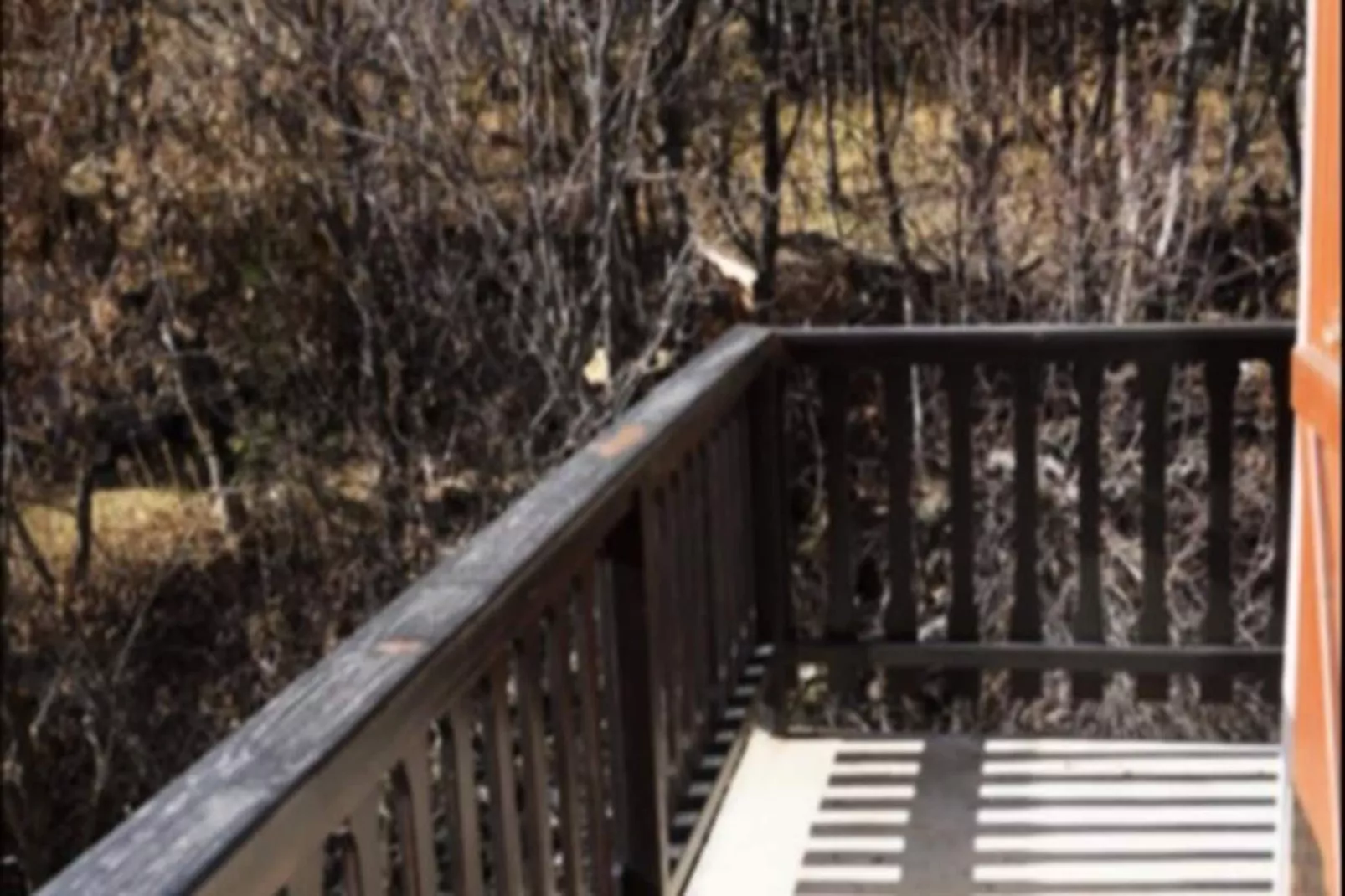 Résidence Le Belvédère-Niet-getagd