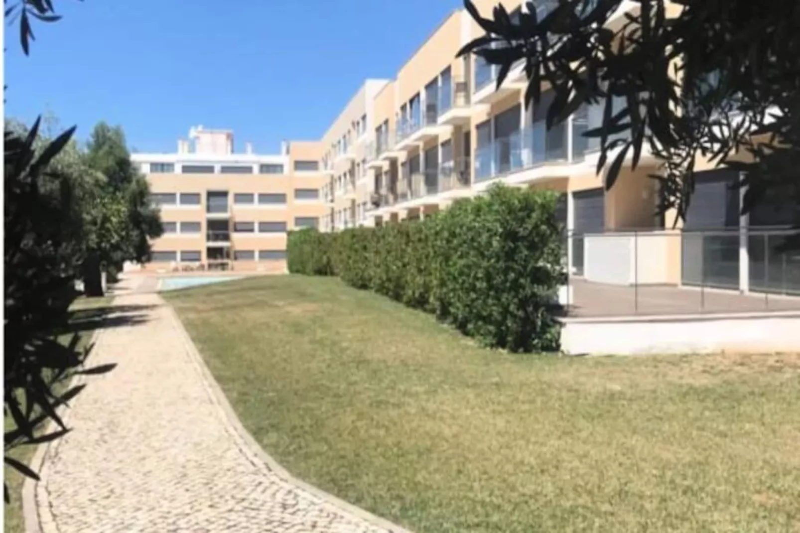 Tavira Flamingos Flat-Niet-getagd