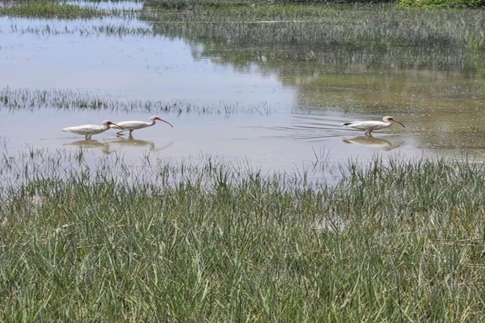 Résidence La Clé des Cimes 4-S8-Gebieden zomer 20km
