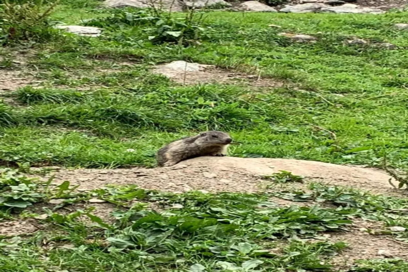 Chalets Les Amis 1-Gebieden zomer 20km