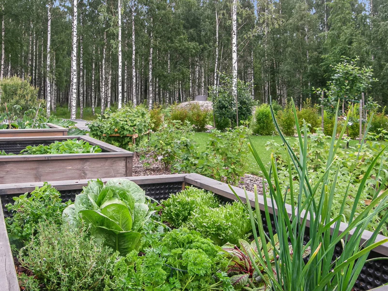 Villa paasirinne a-Binnen