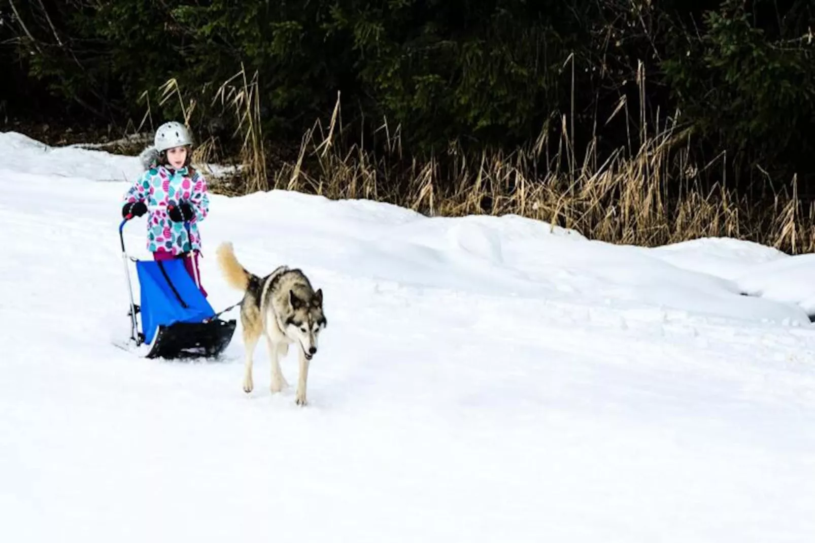Résidence L'edelweiss-planay-Niet-getagd