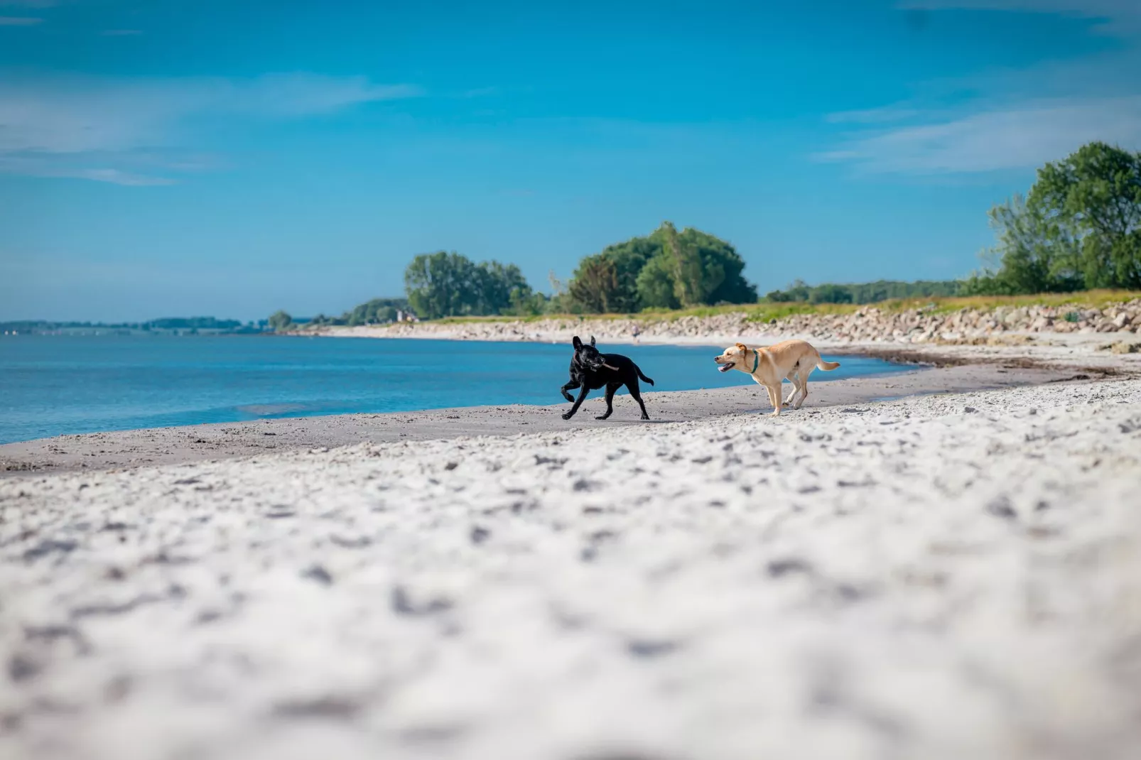 Nurdachhaus Normalpreis 65 qm-Gebieden zomer 1km