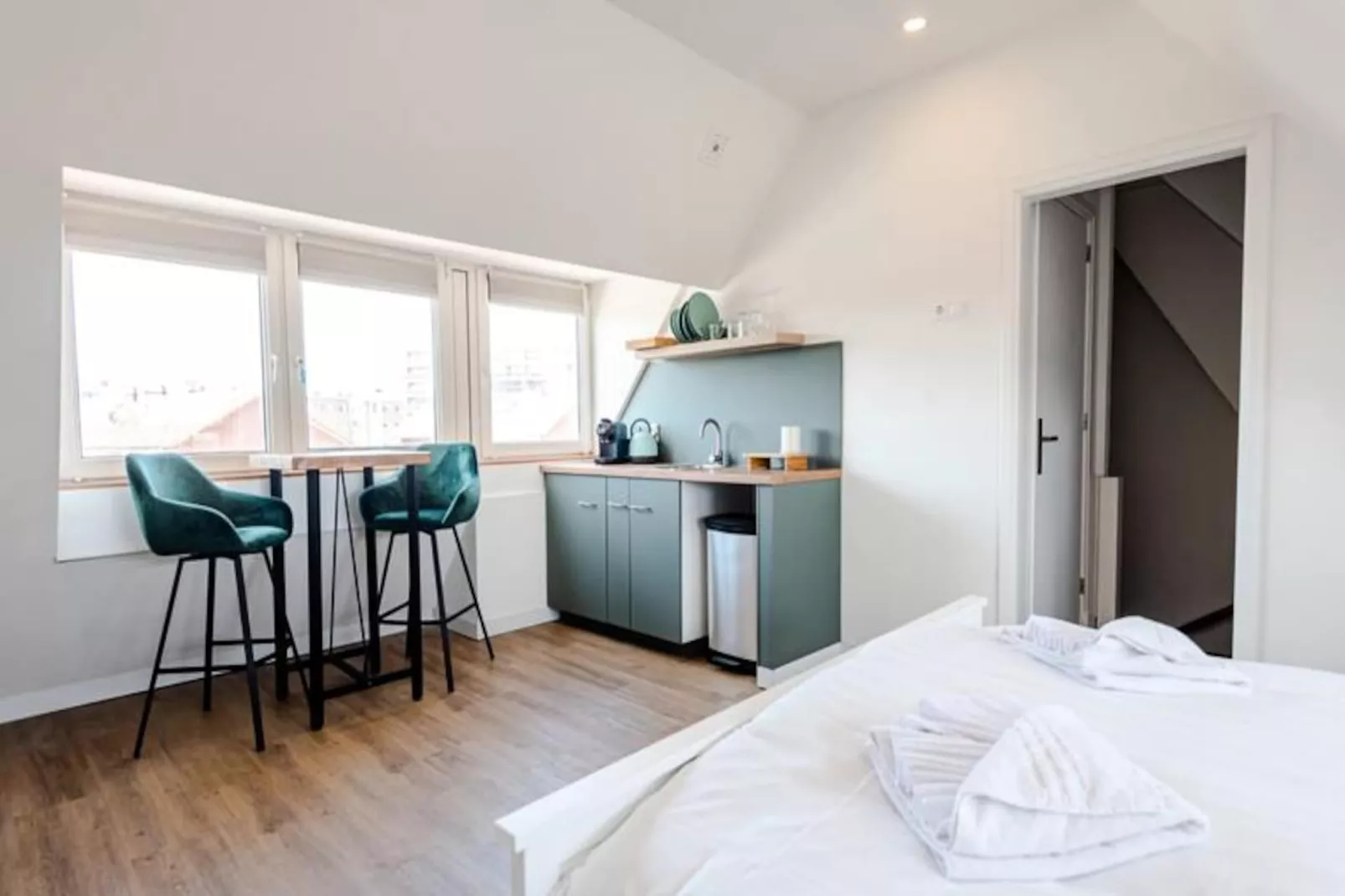 Albatros Aan Zee - Studio-Niet-getagd