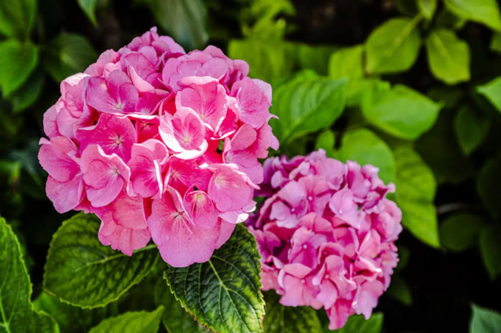 Bed And Beach-Niet-getagd