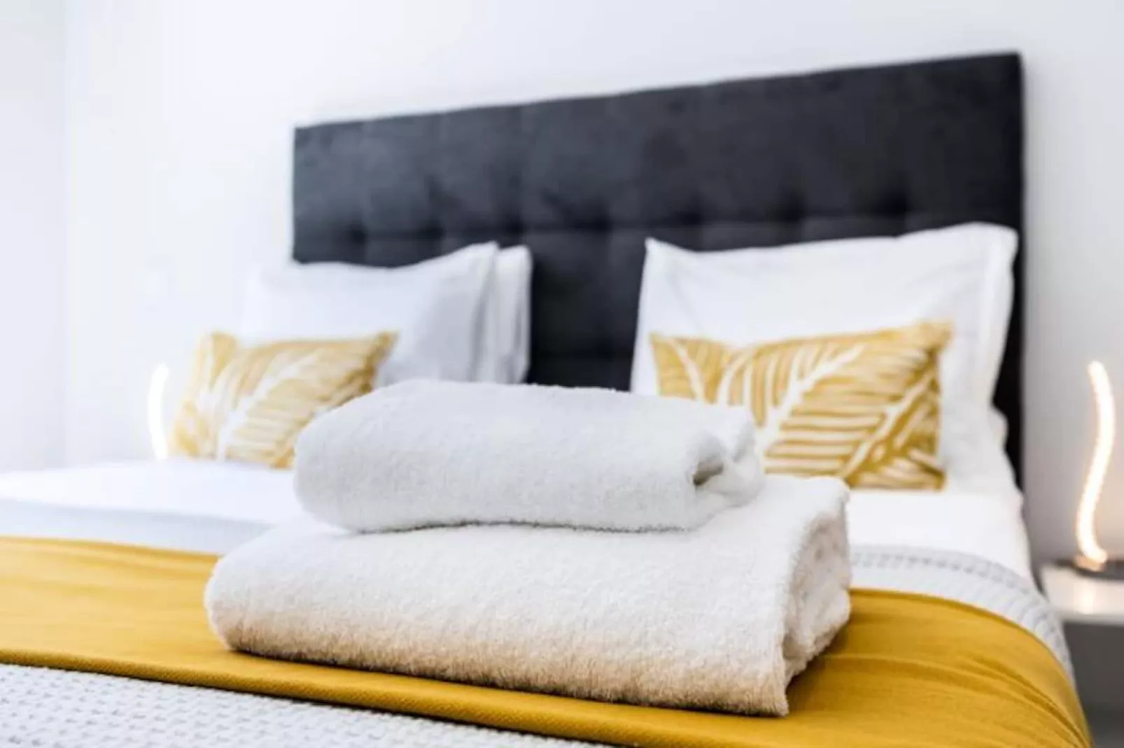 Apartment Brandy-Niet-getagd