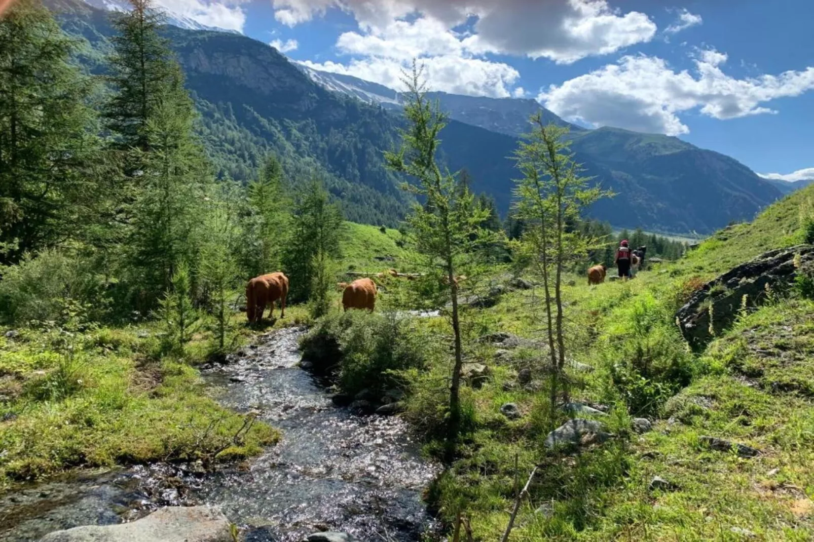 Chalets Les Amis 2-Gebieden zomer 20km