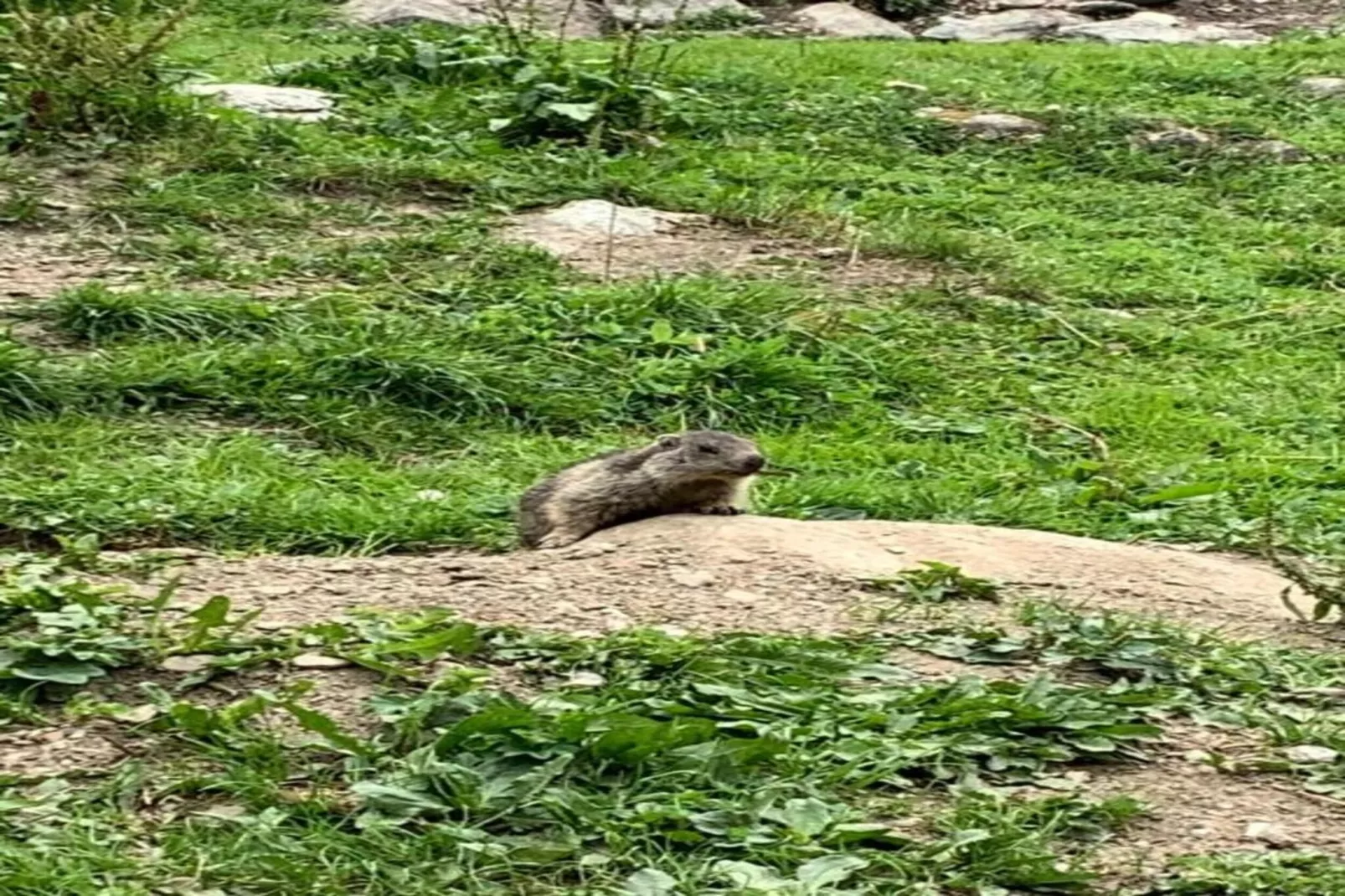 Chalet Ponturin-Gebieden zomer 20km