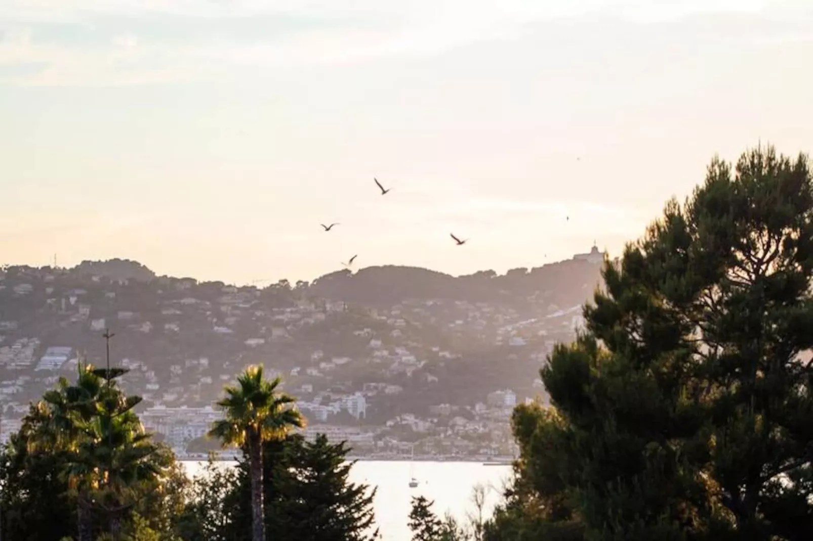 06k2 - Joli Studio Climatisé - Terrasse Vue Mer-Niet-getagd