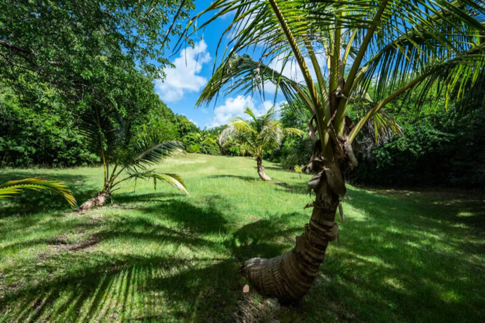 Villa Bwacajou - Niet-getagd