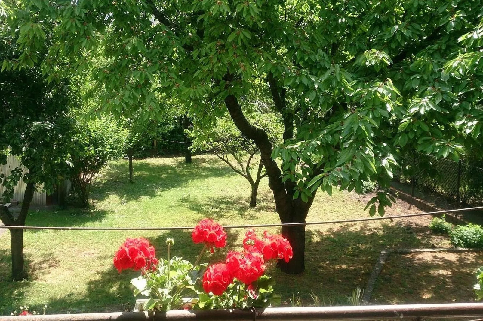 Ferienhaus in Budapest mit großem Garten-Tuinen zomer