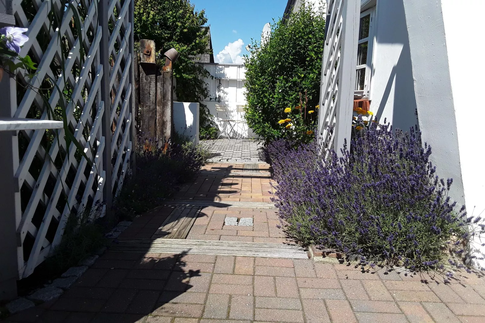 Ferienhaus in Zempin-Tuinen zomer