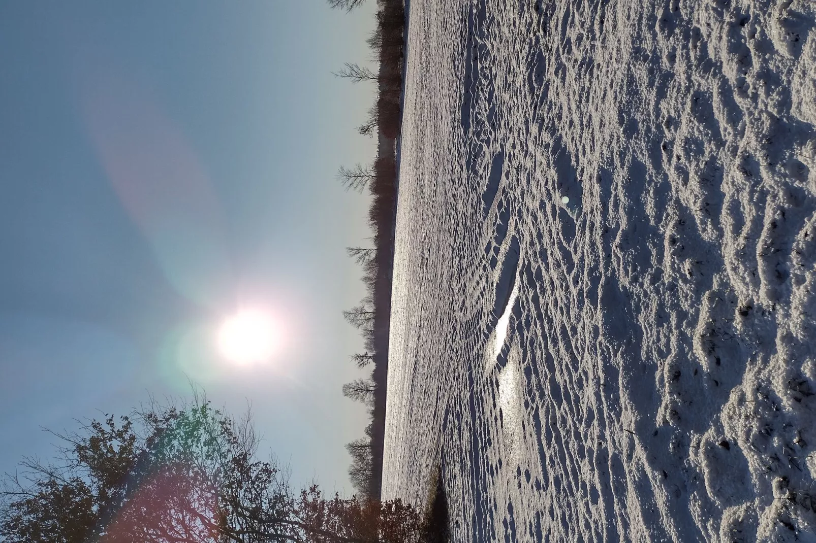 "An der Treene"-Gebied winter 1km