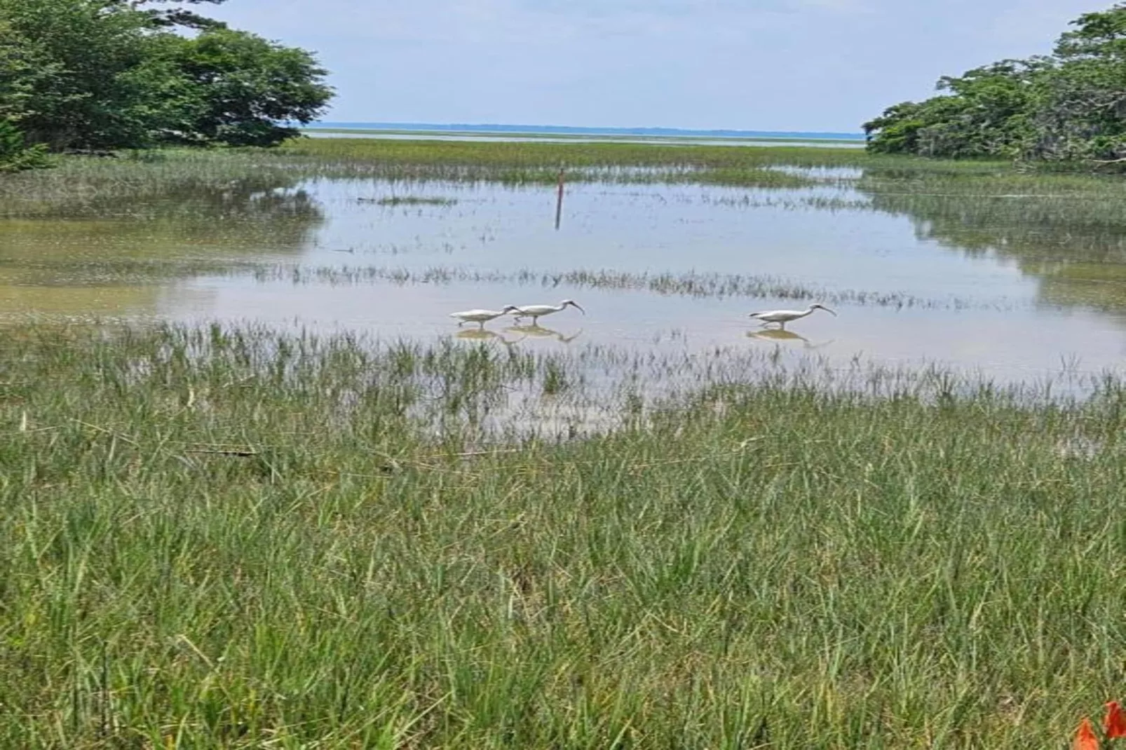 Résidence La Clé des Cimes 1-S4-Gebieden zomer 20km