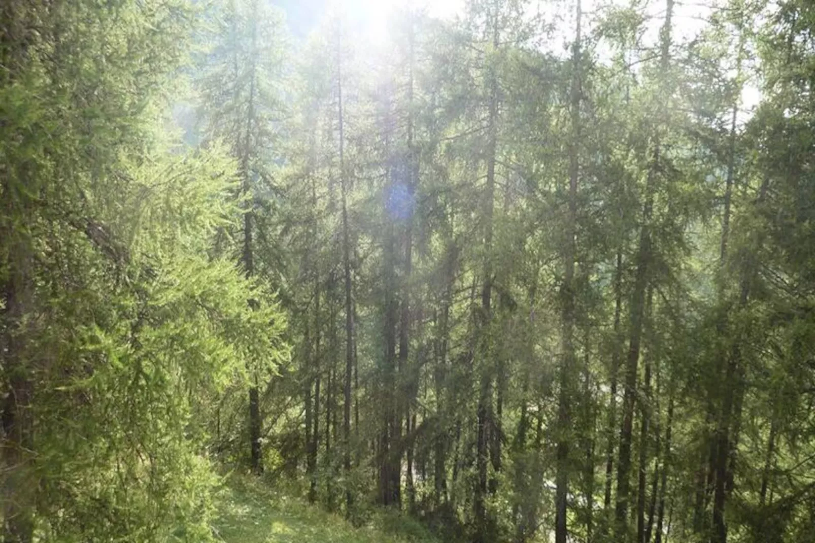 Résidence La Chamoisiere-Niet-getagd