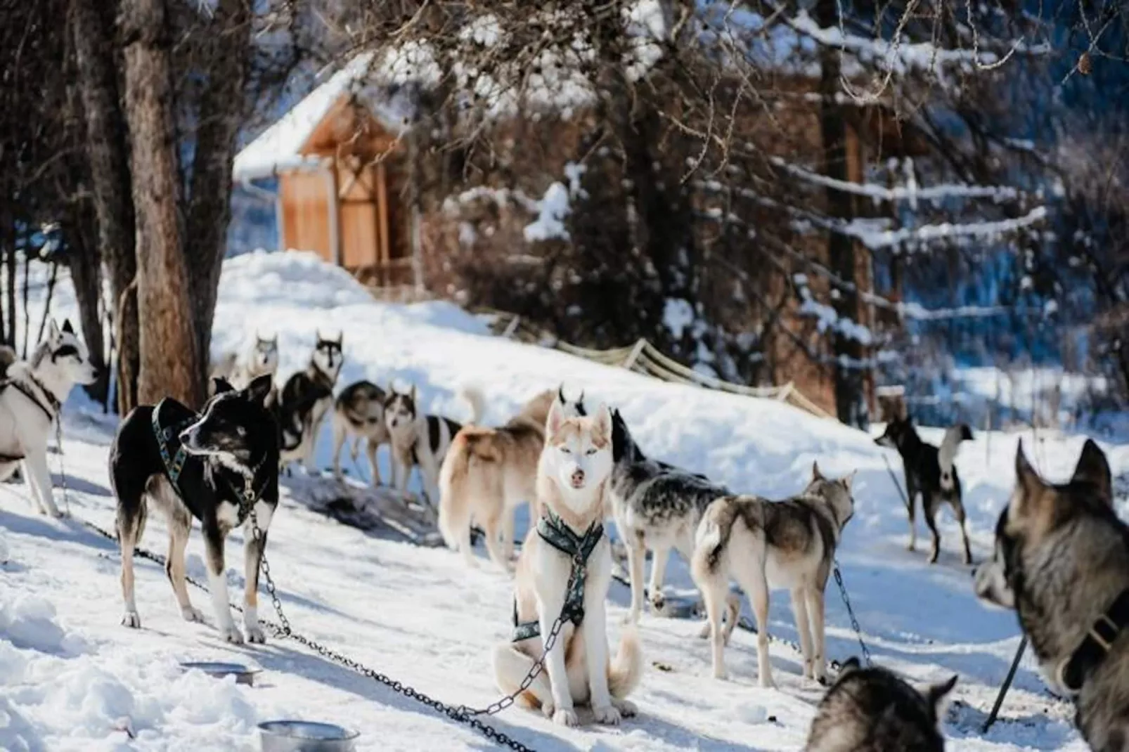 Résidence Les Logis d'Orres ***-Niet-getagd