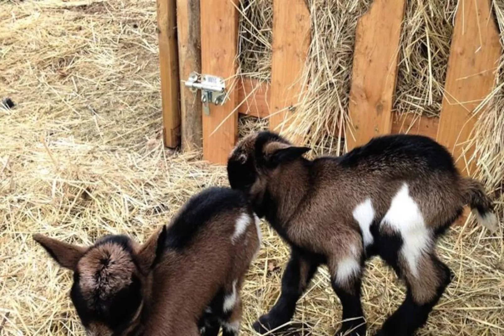 Domaine des Bories ****-Niet-getagd