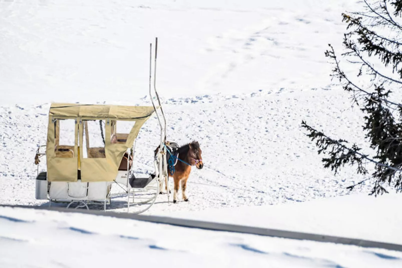 Résidence Armaillis-Niet-getagd