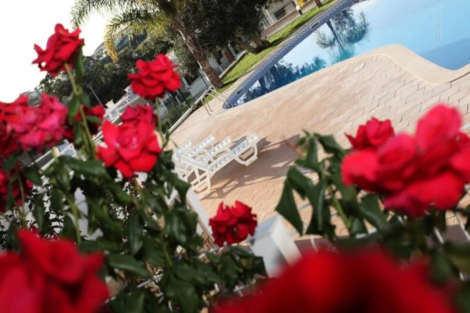 Maison à Albufeira-Niet-getagd