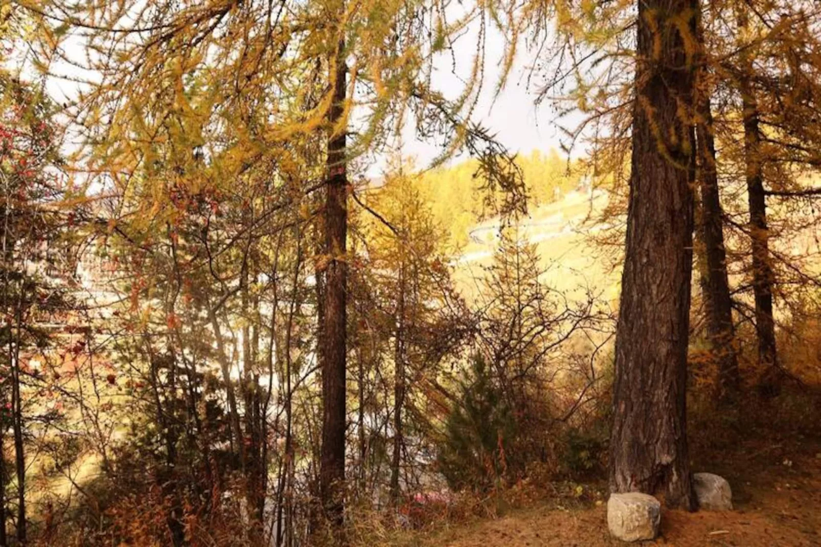 Résidence Le Pouzenc-Niet-getagd