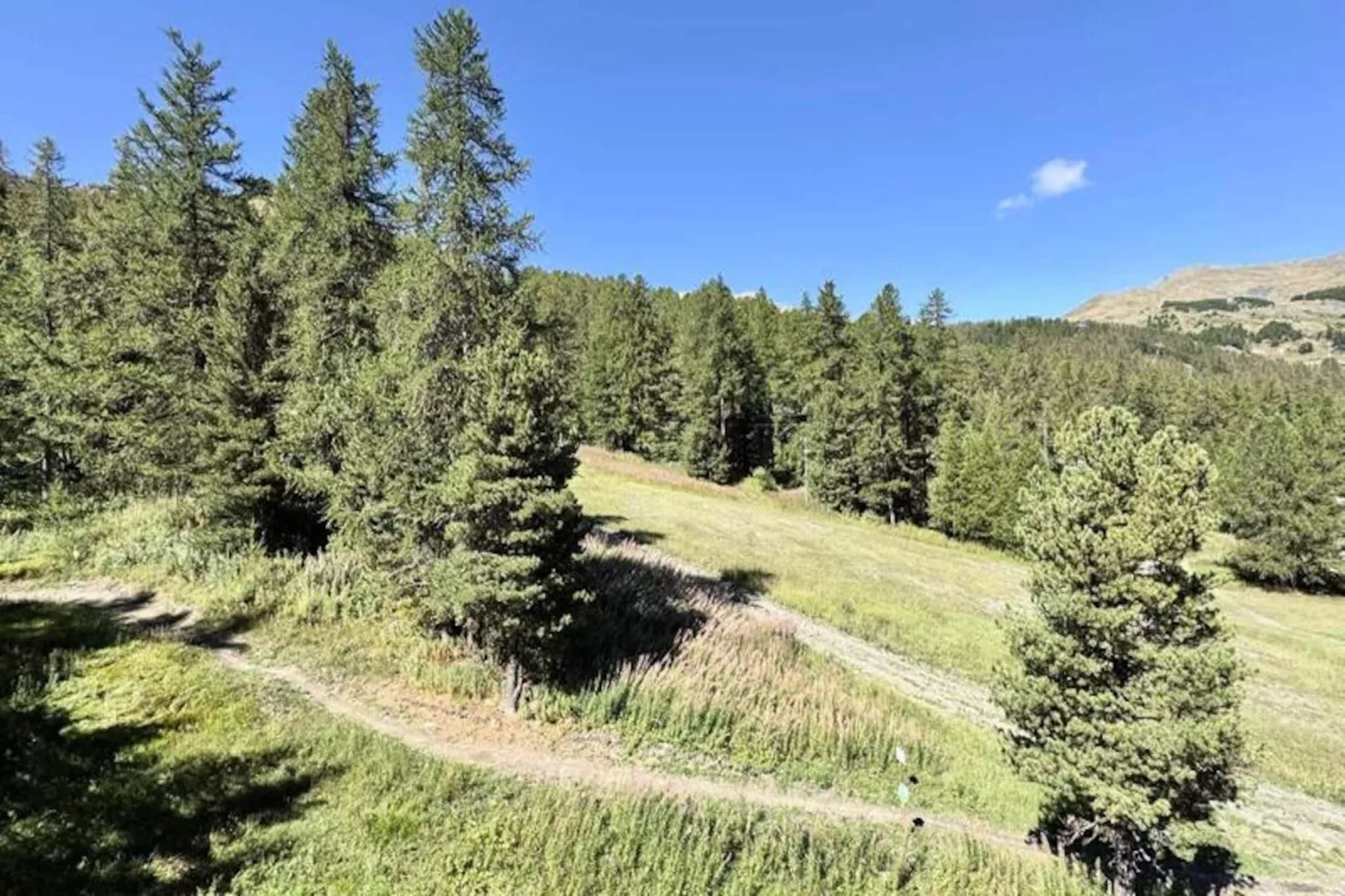 Résidence L'albane - Niet-getagd