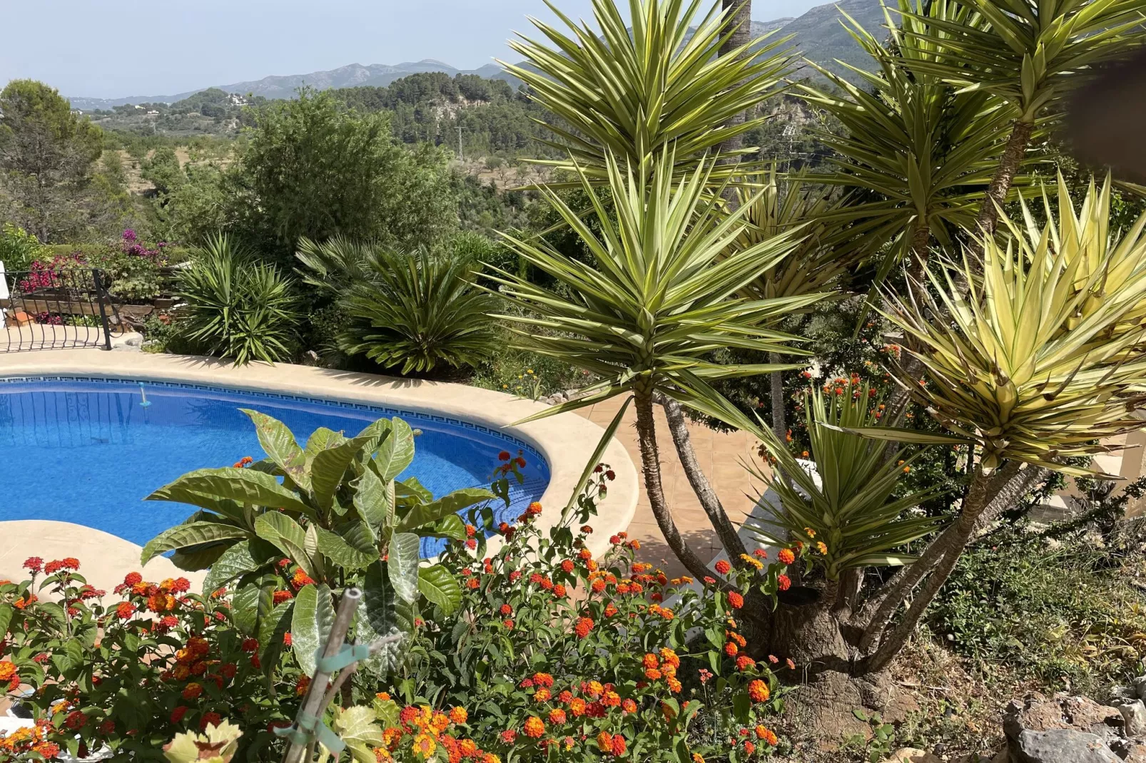 Villa Antonio Alto 4 pax-Zwembad