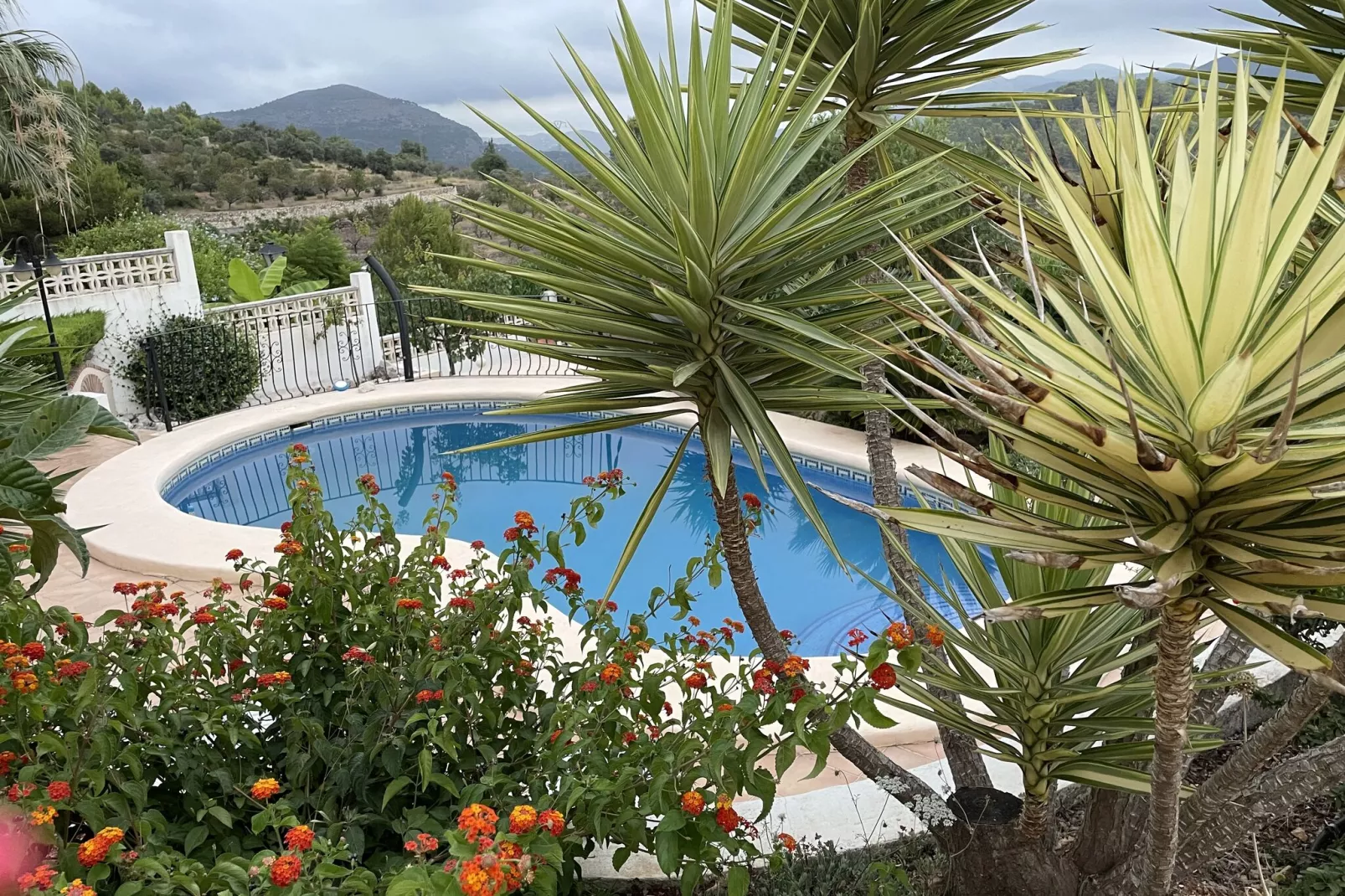 Villa Antonio Alto 4 pax-Zwembad