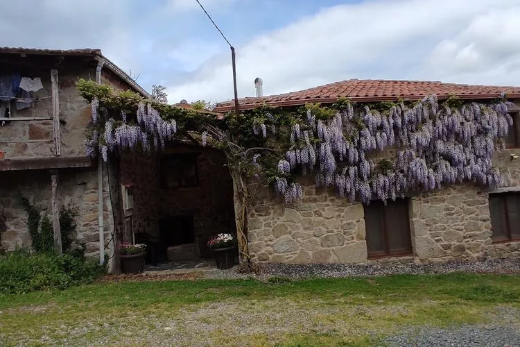 La Casita Ribeira Sacra-Hal-ontvangst