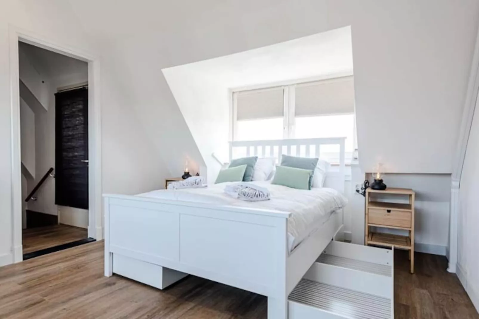 Albatros Aan Zee - Studio-Niet-getagd