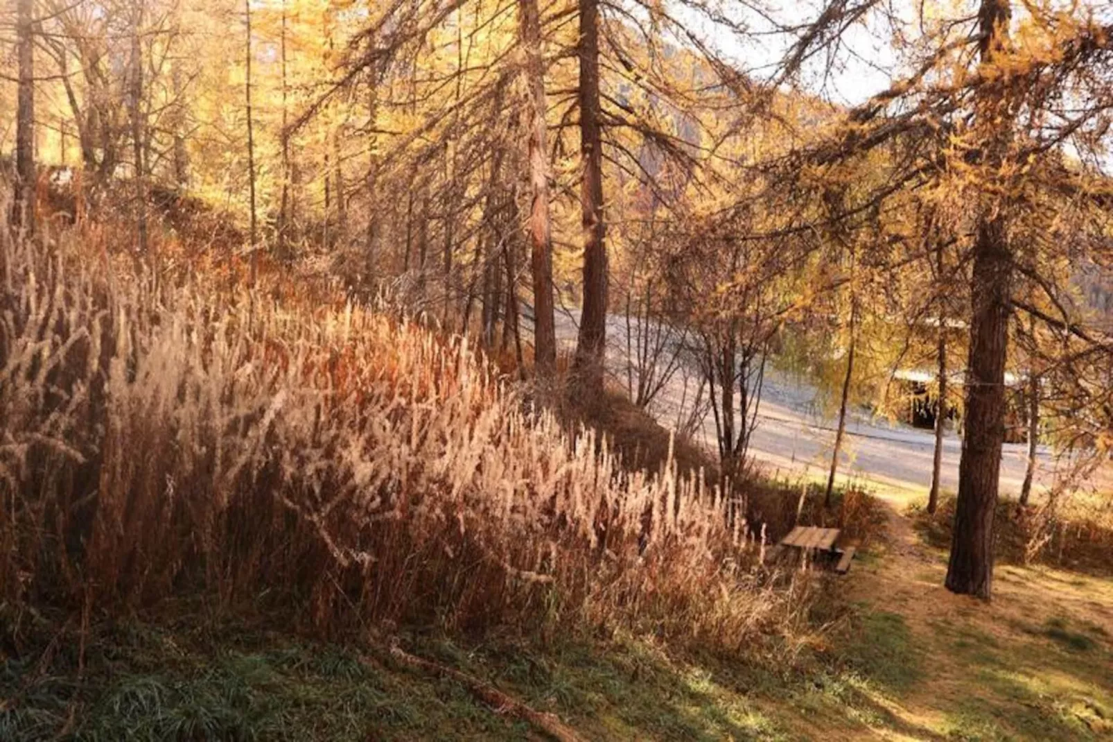 Résidence Le Pouzenc-Niet-getagd
