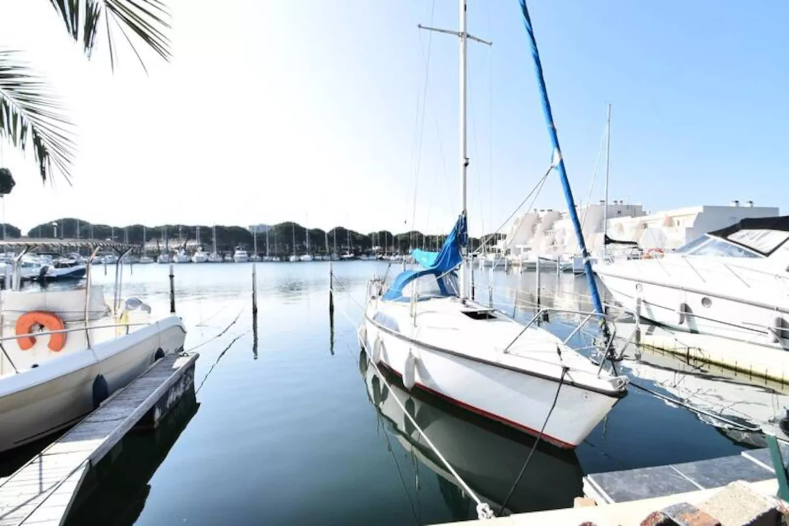 Résidence Les Suzannes-Niet-getagd