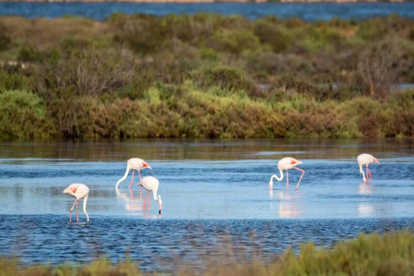 Résidence Le Zodiaque Ii-Niet-getagd