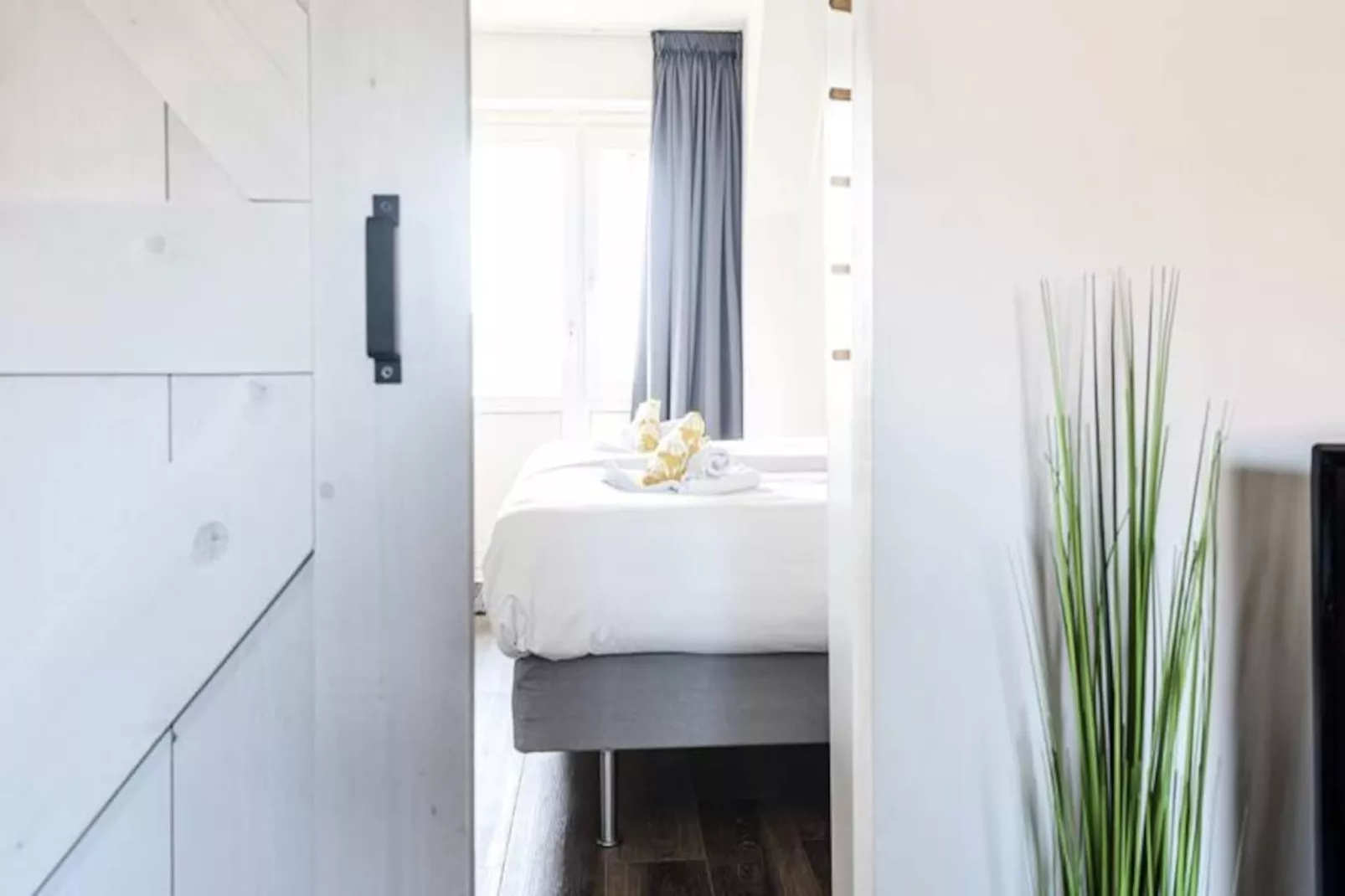 Albatros Aan Zee - Zandvoort-Niet-getagd