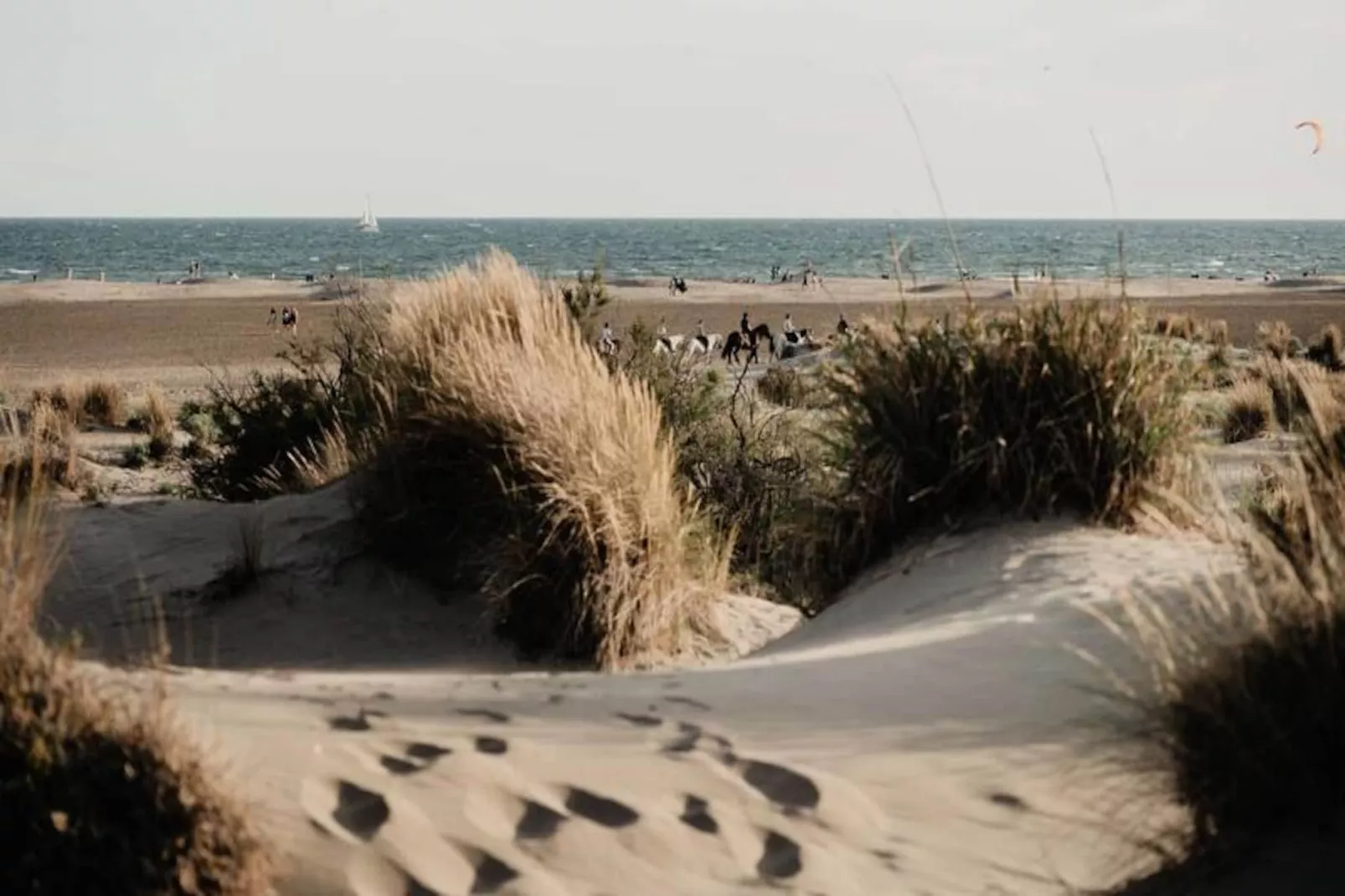 Résidence Voiles D'or-Niet-getagd