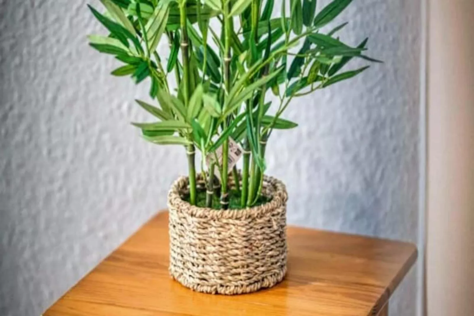 | Le Petit Marcel 🦓 | Hyper-centre, Tout &eacute;quip&eacute;-Niet-getagd