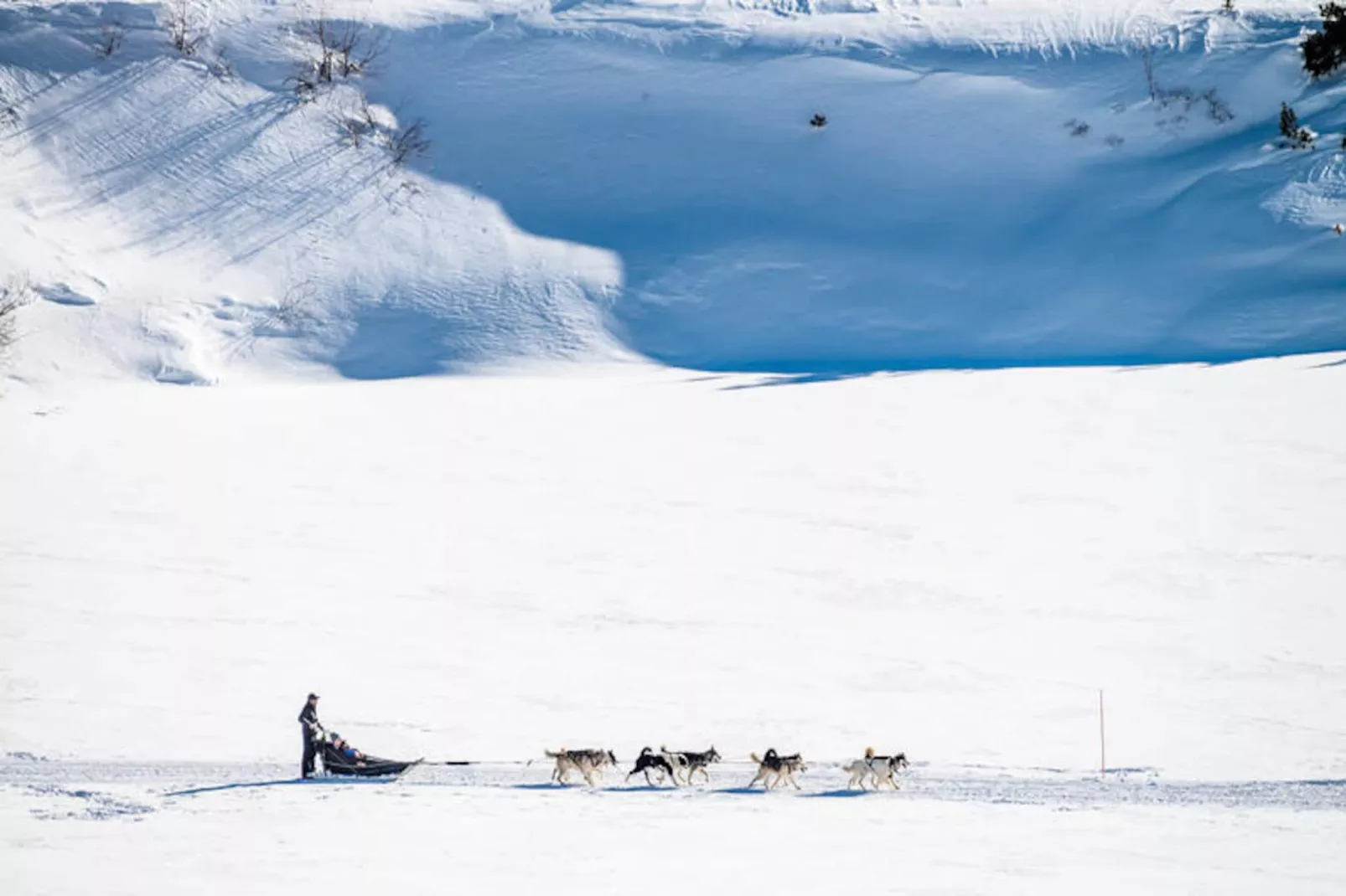 Résidence Armaillis-Niet-getagd